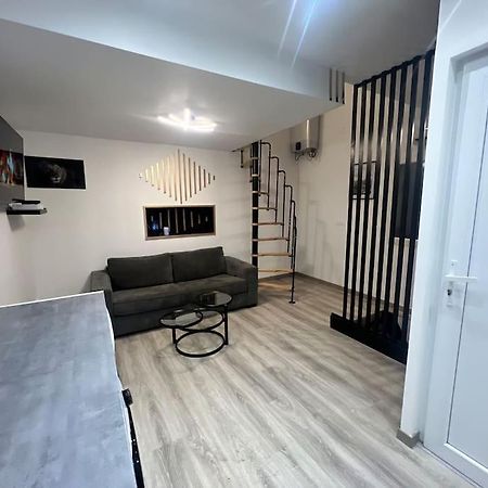 Maison Appartement Triplex Avec Jacuzzi Et Sauna サン・テティエンヌ エクステリア 写真