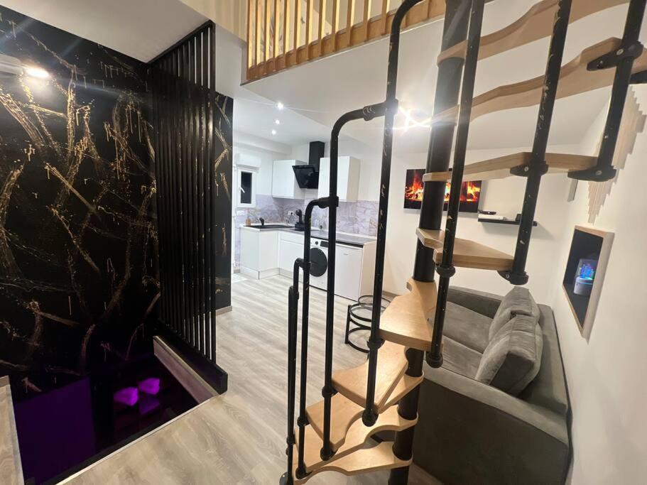 Maison Appartement Triplex Avec Jacuzzi Et Sauna サン・テティエンヌ エクステリア 写真
