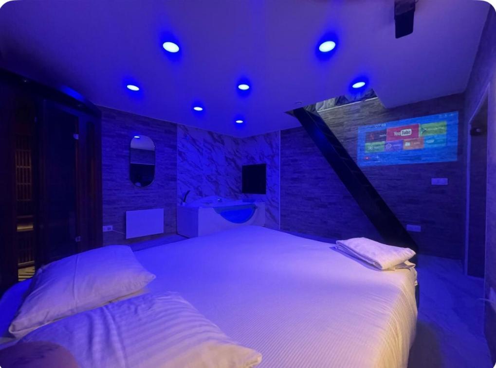 Maison Appartement Triplex Avec Jacuzzi Et Sauna サン・テティエンヌ エクステリア 写真